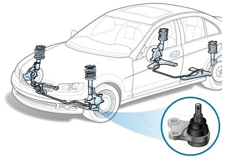 Localisation de la rotule dans la suspension automobile